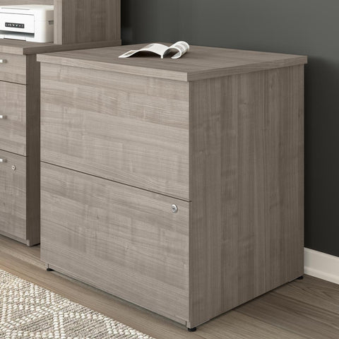 2 Drawer Lateral File Cabinet
