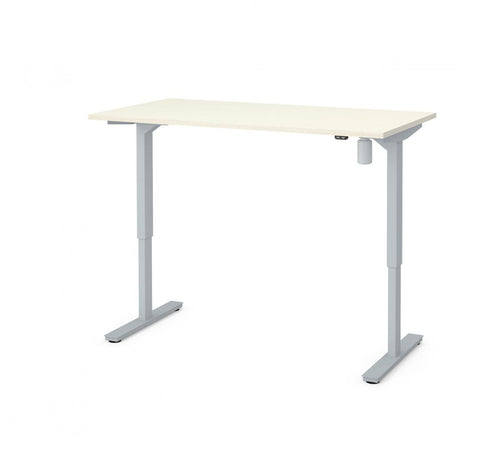 60W x 30D Standing Desk