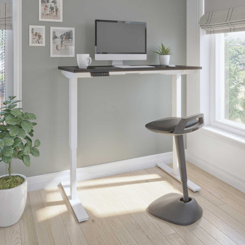 48W x 24D Electric Standing Desk