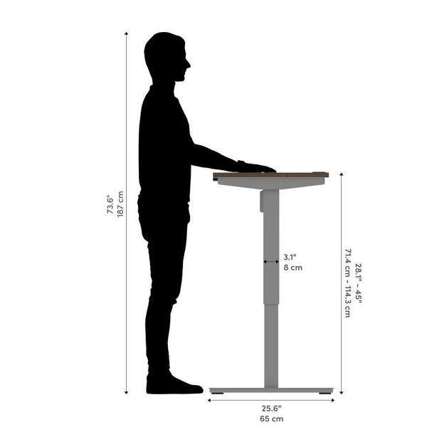 48W x 24D Standing Desk