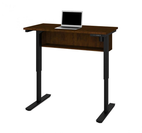 24“ x 48“ Standing Desk