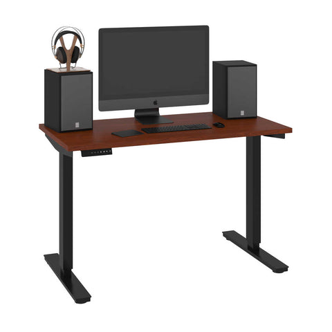 48W x 24D Standing Desk