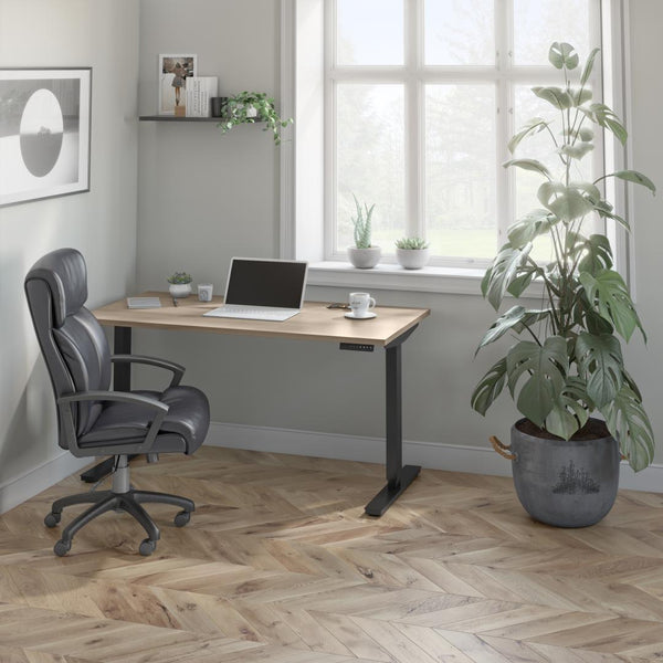 60W x 30D Standing Desk