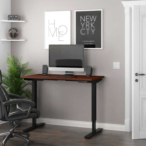 48W x 24D Standing Desk