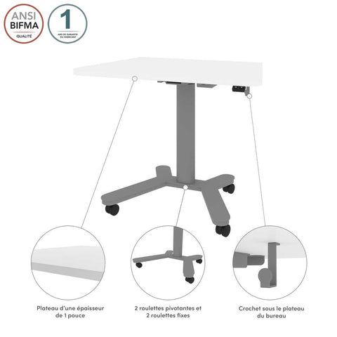 36W x 24D Small Standing Desk