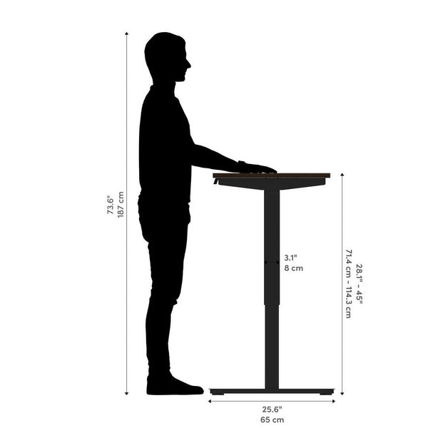 48W x 24D Standing Desk
