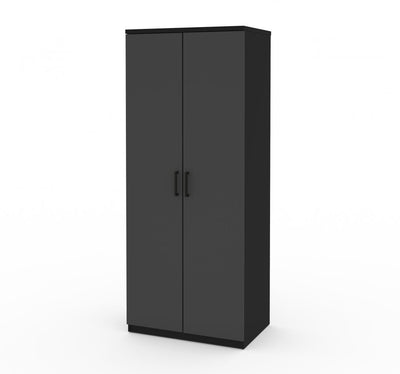 Large 2-Door Cabinet