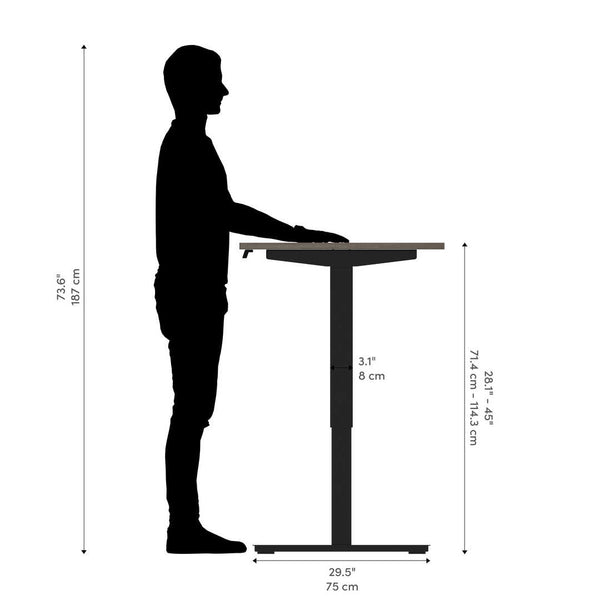 60W x 30D Standing Desk