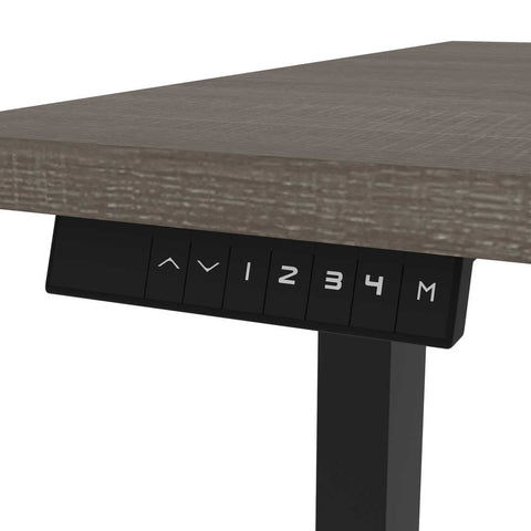 60W x 30D Standing Desk