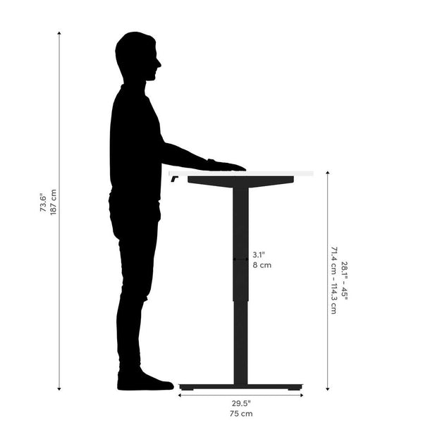 60W x 30D Standing Desk