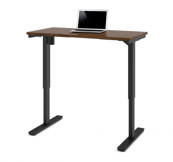 48W x 24D Standing Desk