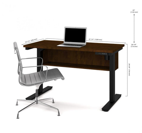 24“ x 48“ Standing Desk