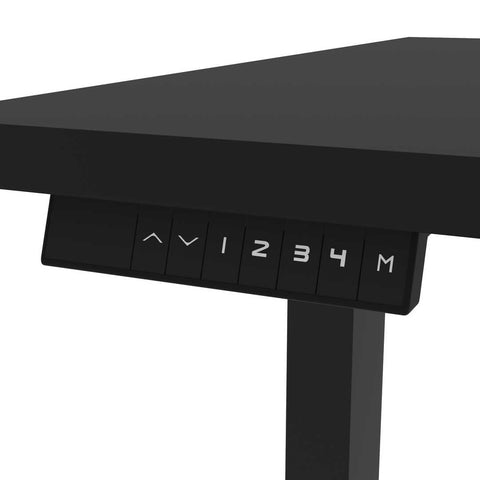 60W x 30D Standing Desk