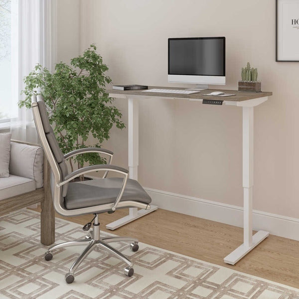 48W x 24D Electric Standing Desk