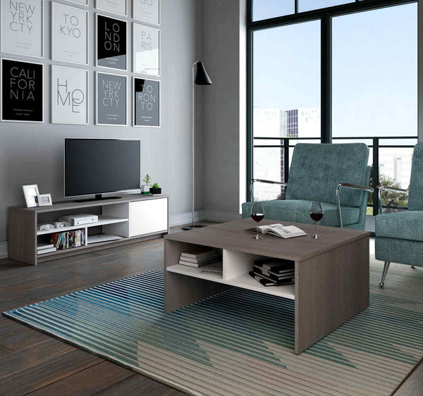 2-Piece set including a coffee table and a TV stand