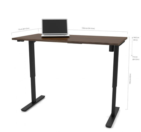 60W x 30D Standing Desk