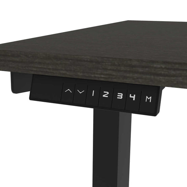 48W x 24D Standing Desk