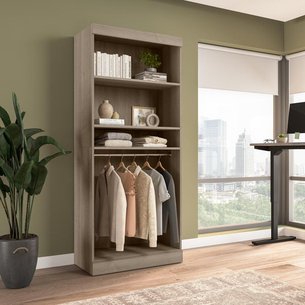 Contemporary Closet System with Shelves & Clothing Rods, 36W x 19D