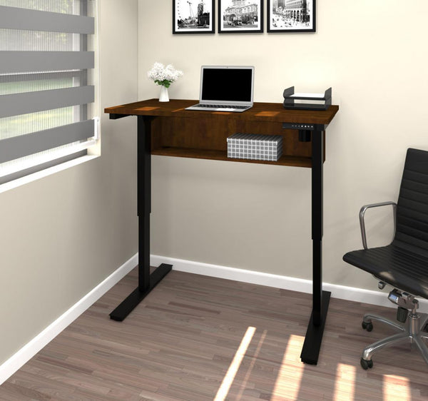 24“ x 48“ Standing Desk