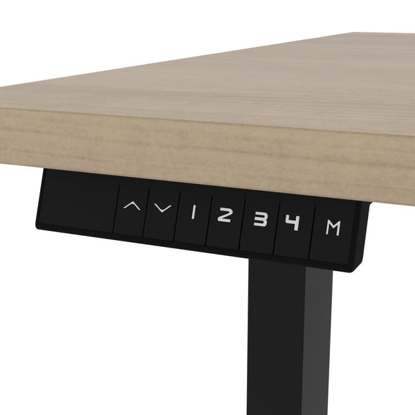 60W x 30D Standing Desk