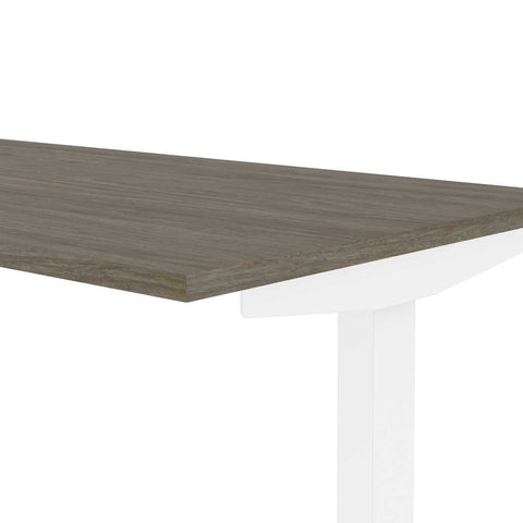 60W x 30D Electric Standing Desk