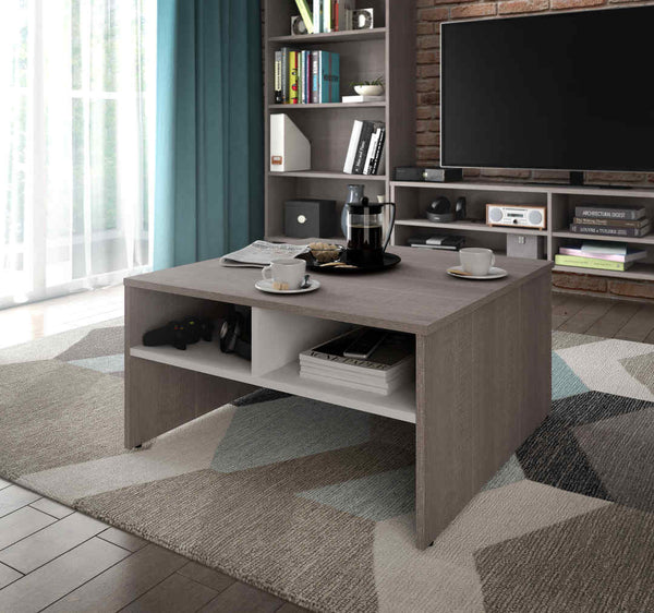29.5“ Coffee table with storage