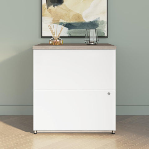 2 Drawer Lateral File Cabinet