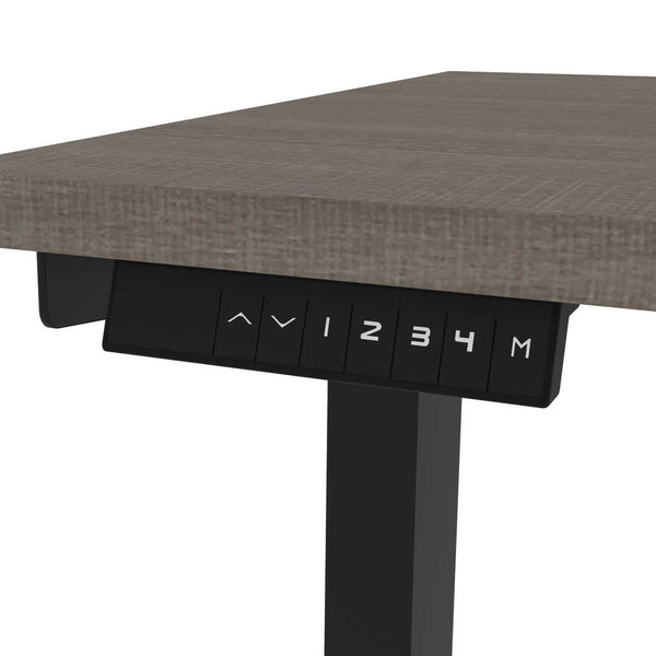 48W x 24D Standing Desk