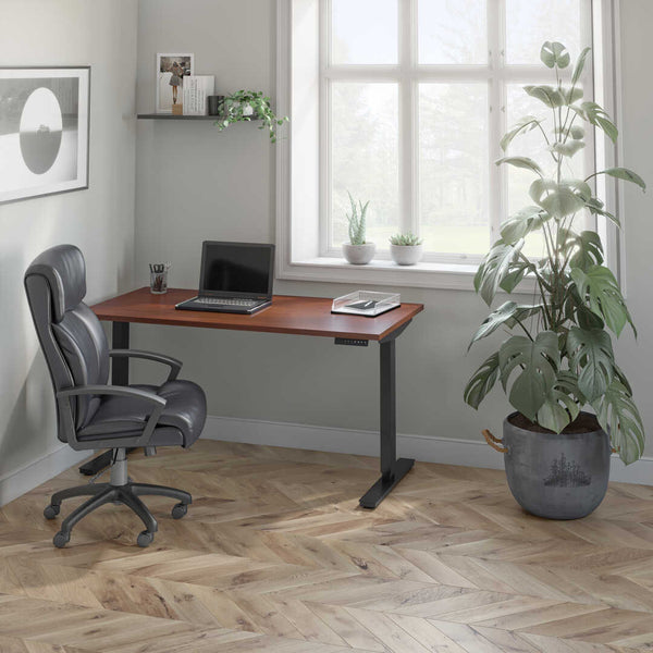 60W x 30D Standing Desk