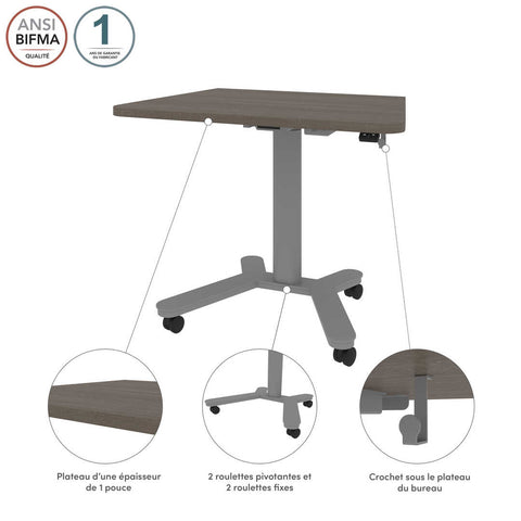 36W x 24D Small Standing Desk