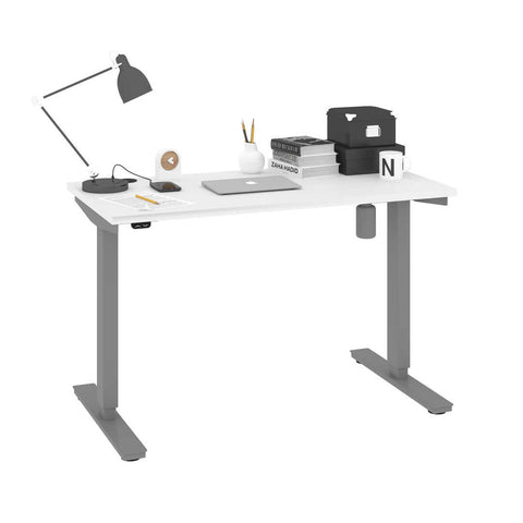 48W x 24D Standing Desk