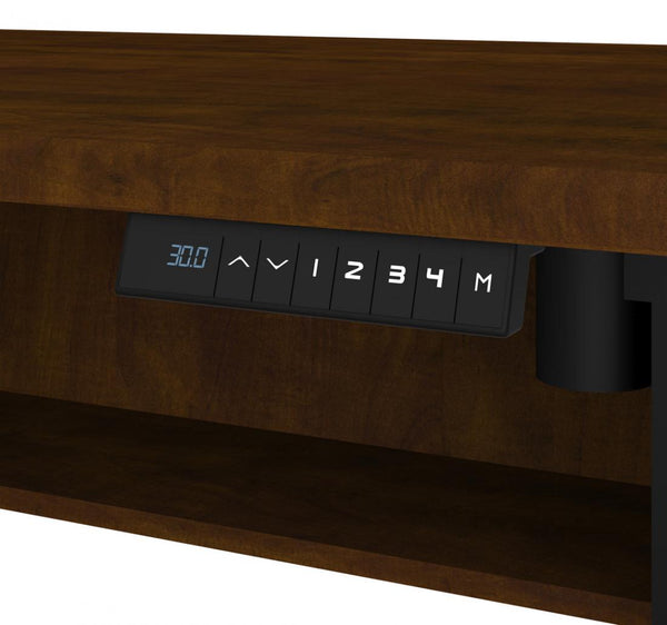 24“ x 48“ Standing Desk