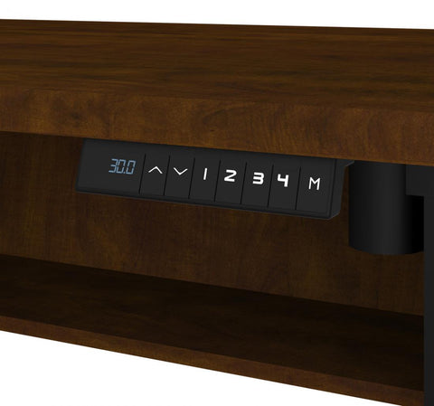 24“ x 48“ Standing Desk