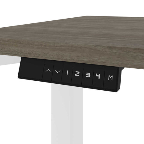 48W x 24D Electric Standing Desk