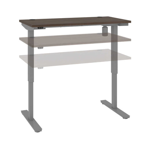 48W x 24D Standing Desk