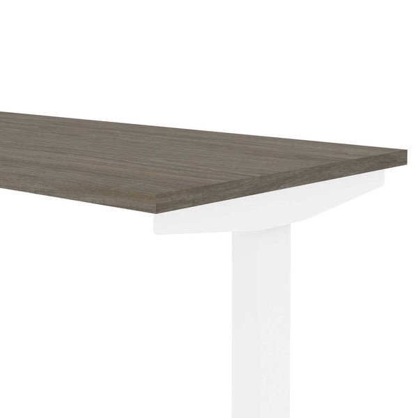 48W x 24D Electric Standing Desk