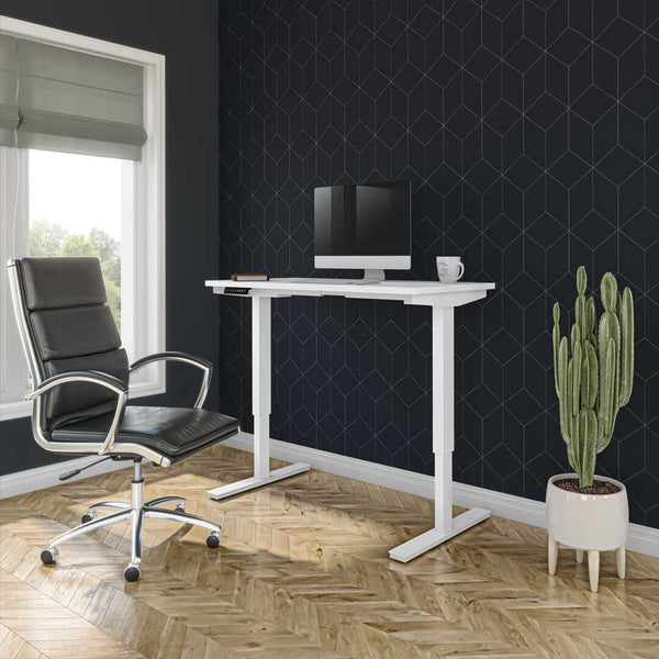 48W x 24D Electric Standing Desk