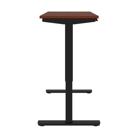 48W x 24D Standing Desk