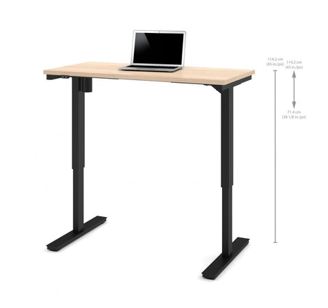 48W x 24D Standing Desk
