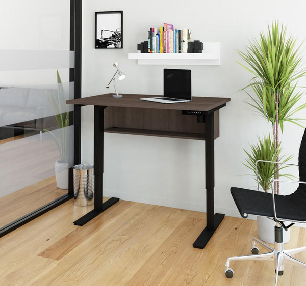 24“ x 48“ Standing Desk