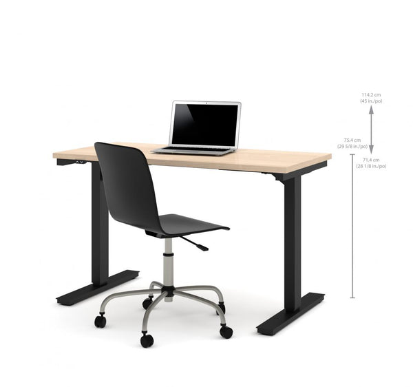 48W x 24D Standing Desk