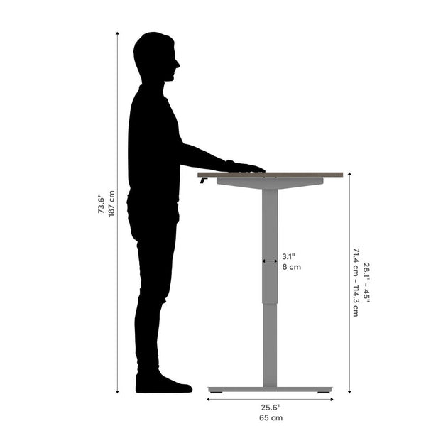 60W x 30D Standing Desk