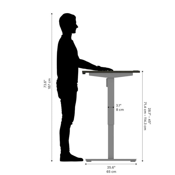 60W x 30D Standing Desk