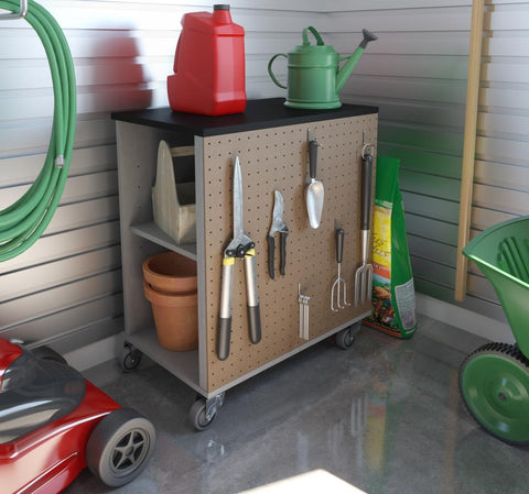 Mobile Garage Storage Cabinet