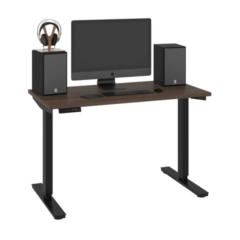 24“ x 48“ Standing Desk