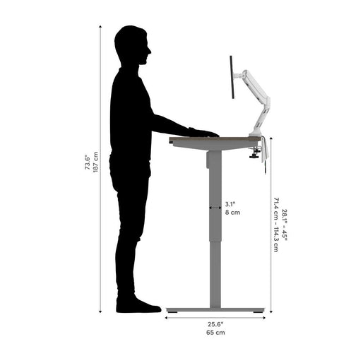 48W x 24D Standing Desk with Dual Monitor Arm