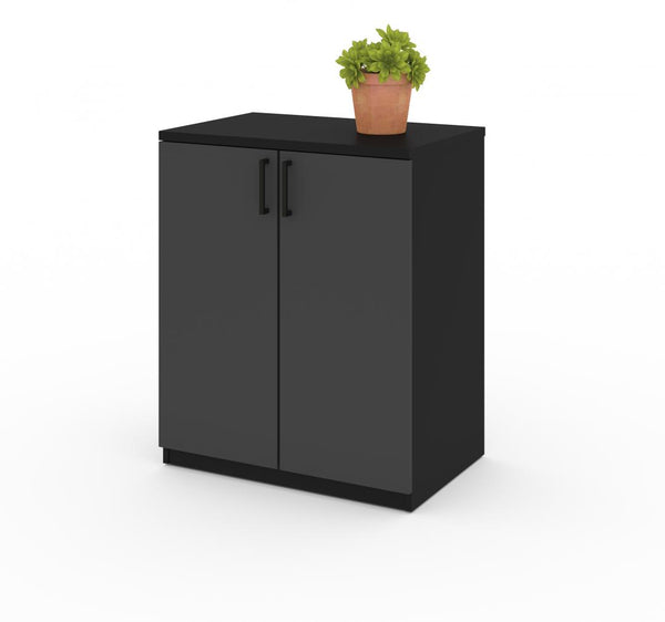 2-Door Base Cabinet