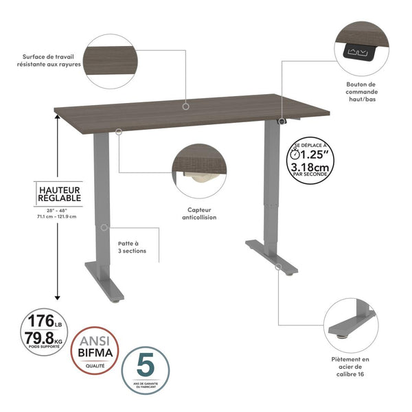 60W x 30D Electric Standing Desk