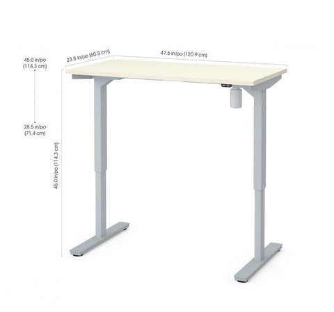 24“ x 48“ Standing Desk