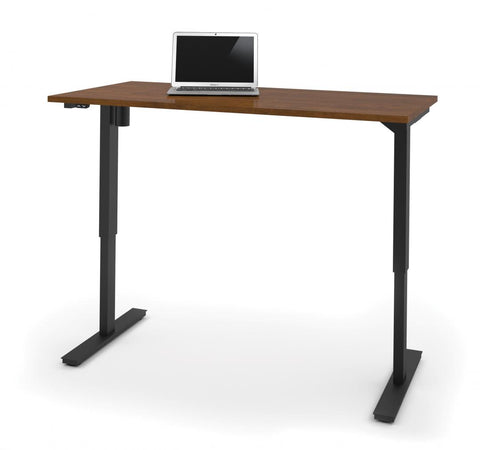 30“ x 60“ Standing desk